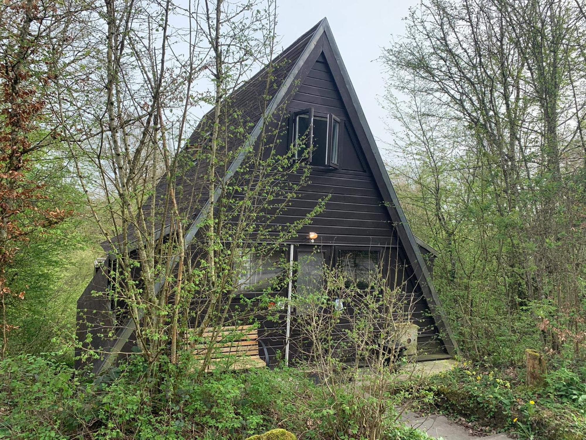 Heerlijk Vakantiehuis In Bos Bij Durbuy Dış mekan fotoğraf