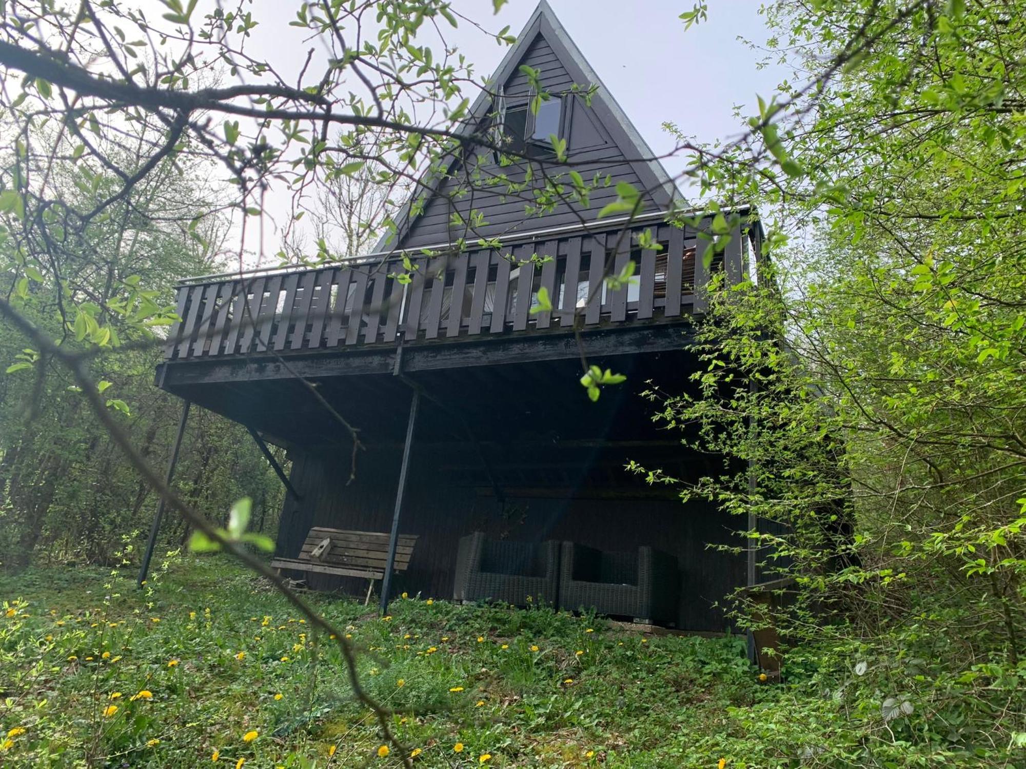 Heerlijk Vakantiehuis In Bos Bij Durbuy Dış mekan fotoğraf